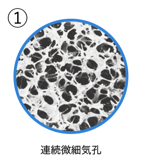 ① 気孔構造