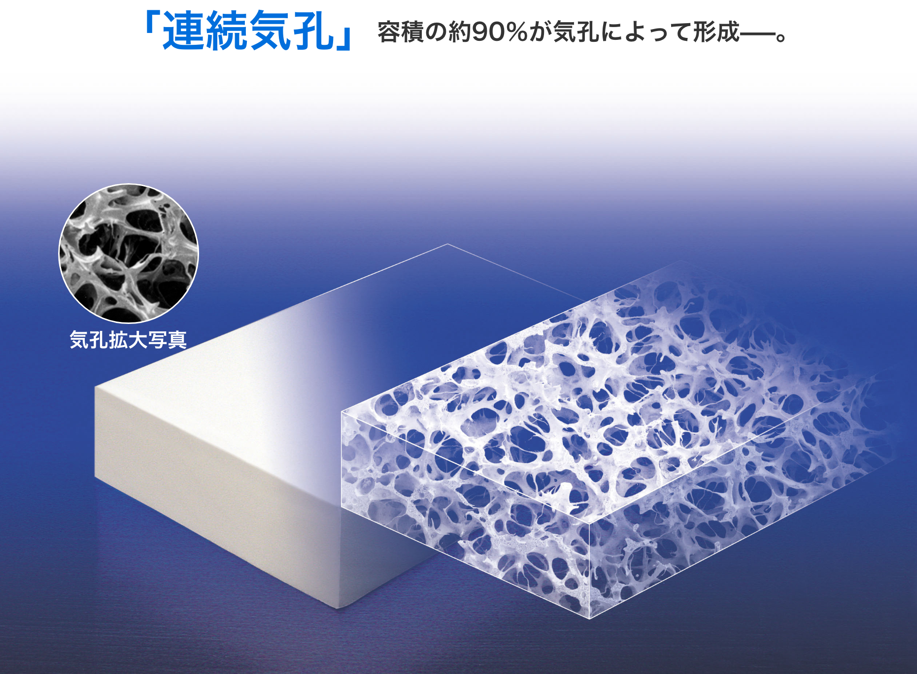 「連続気孔」容積の約90％が気孔によって形成–––。