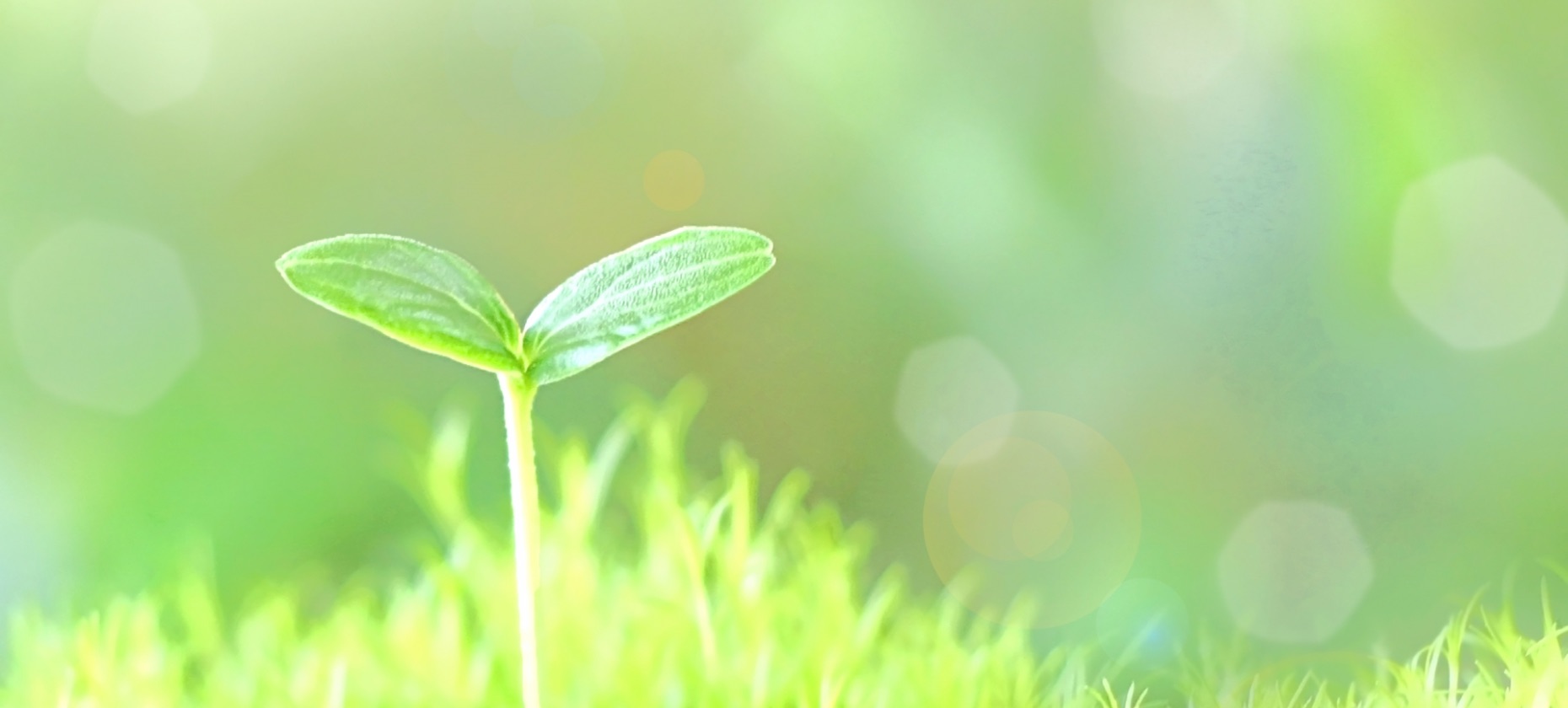 Our Environmental Initiatives