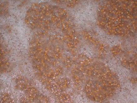 Example of use(1) Microorganism-immobilized carrier 