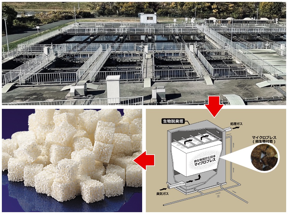 Environmental purification (deodorization) - AION PVA Microbe Carrirer