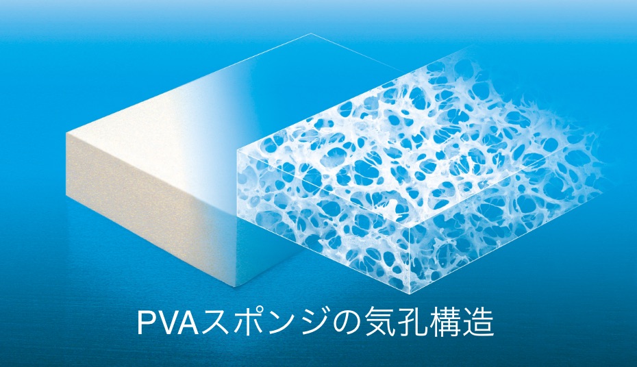 Pore structure of PVA sponge
