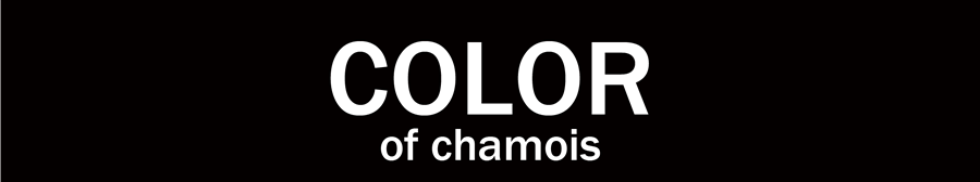COLOR of chamois