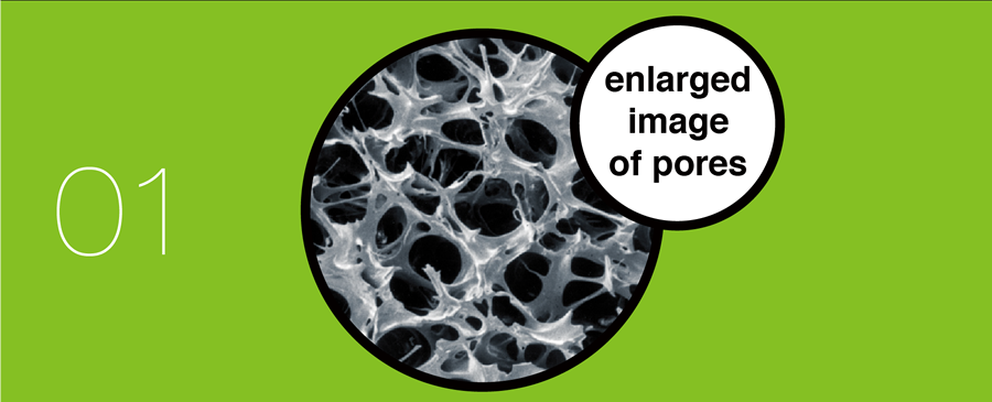 01 enlarged image of pores