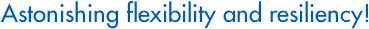 Astoniching flexibility and resiliency!